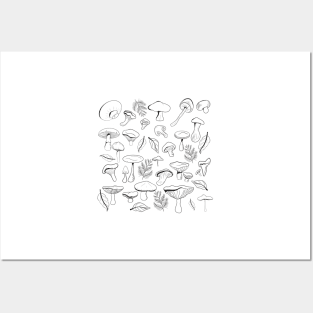 Black and white mushrooms Posters and Art